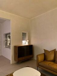 Tiong Bahru Estate (D3), Apartment #496703351
